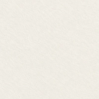 buildex-kamennyy-pantsir.webp